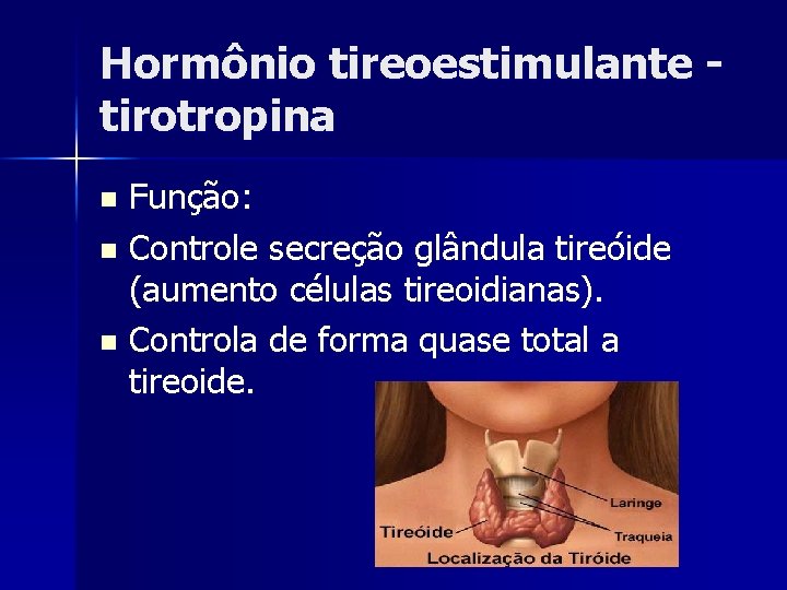 Hormônio tireoestimulante tirotropina Função: n Controle secreção glândula tireóide (aumento células tireoidianas). n Controla