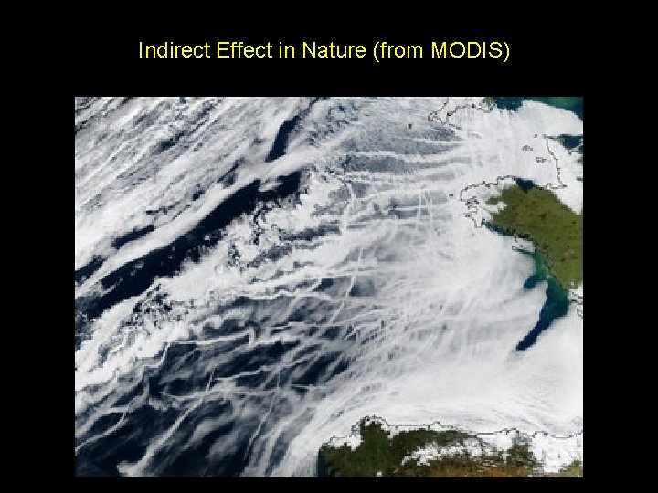 Indirect Effect in Nature (from MODIS) 