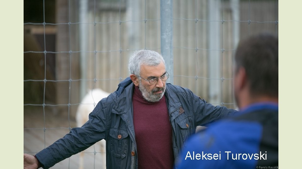 Aleksei Turovski 