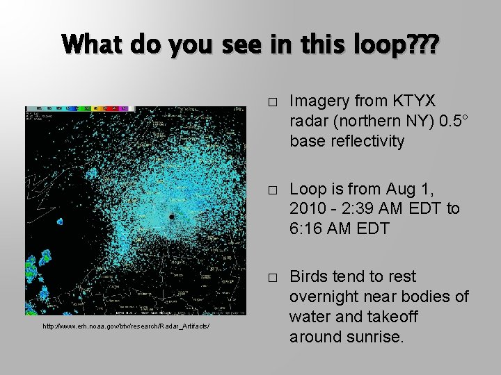 What do you see in this loop? ? ? http: //www. erh. noaa. gov/btv/research/Radar_Artifacts/