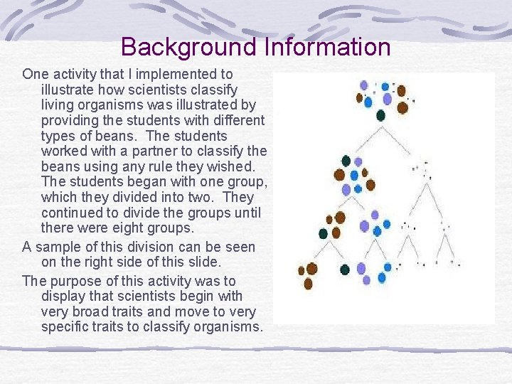 Background Information One activity that I implemented to illustrate how scientists classify living organisms