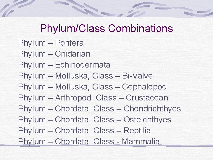 Phylum/Class Combinations Phylum – Porifera Phylum – Cnidarian Phylum – Echinodermata Phylum – Molluska,