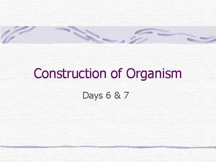 Construction of Organism Days 6 & 7 