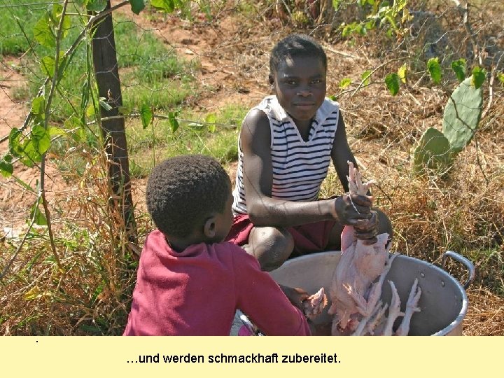 . …und werden schmackhaft zubereitet. 