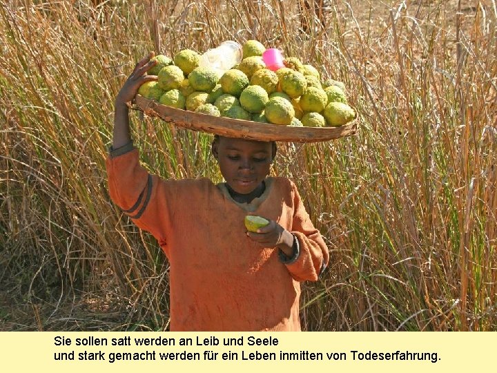 Sie sollen satt werden an Leib und Seele und stark gemacht werden für ein