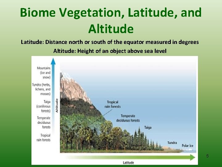 Biome Vegetation, Latitude, and Altitude Latitude: Distance north or south of the equator measured