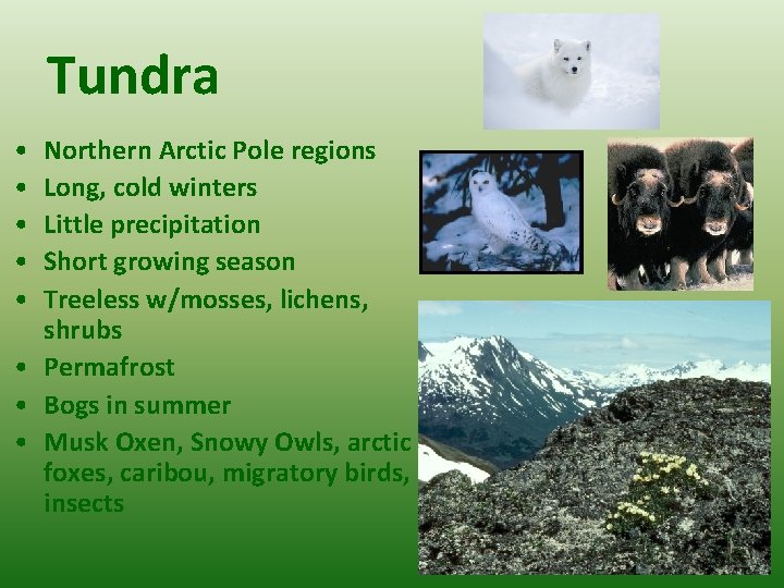 Tundra • • • Northern Arctic Pole regions Long, cold winters Little precipitation Short