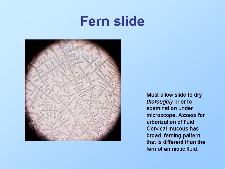 Fern slide Must allow slide to dry thoroughly prior to examination under microscope. Assess