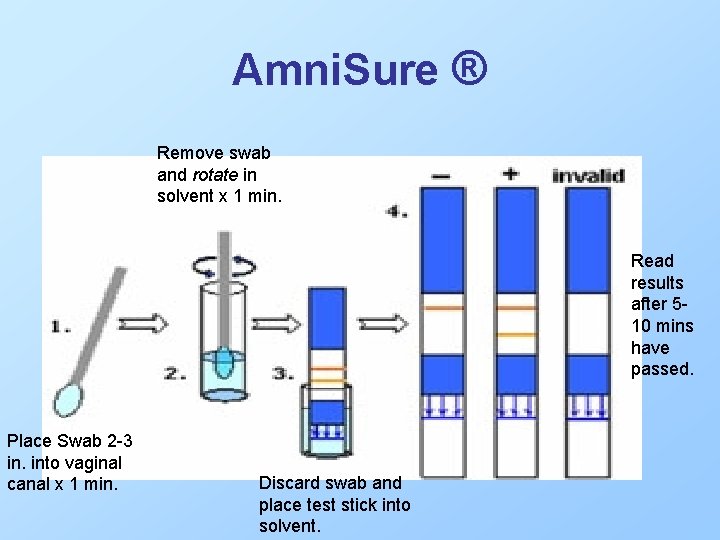 Amni. Sure ® Remove swab and rotate in solvent x 1 min. Read results