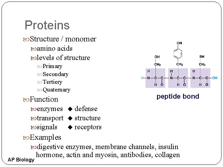 Proteins Structure / monomer amino acids levels of structure Primary Secondary Tertiery Quaternary Function