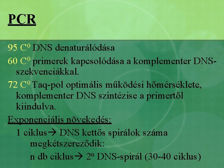 PCR 95 C 0 DNS denaturálódása 60 C 0 primerek kapcsolódása a komplementer DNSszekvenciákkal.