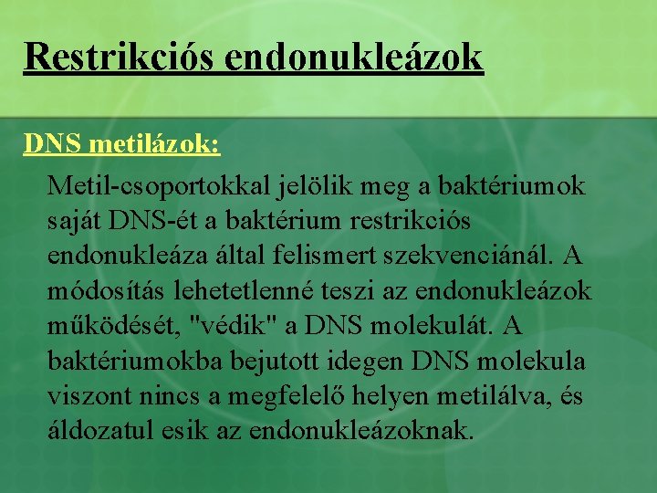 Restrikciós endonukleázok DNS metilázok: Metil-csoportokkal jelölik meg a baktériumok saját DNS-ét a baktérium restrikciós
