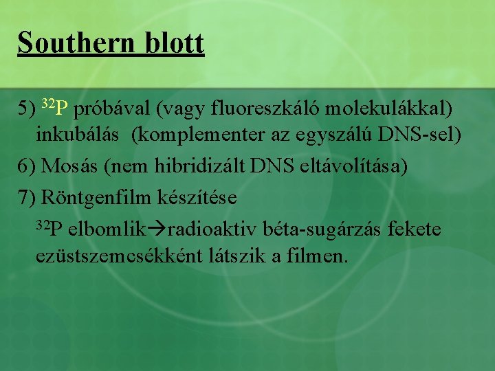 Southern blott 5) 32 P próbával (vagy fluoreszkáló molekulákkal) inkubálás (komplementer az egyszálú DNS-sel)