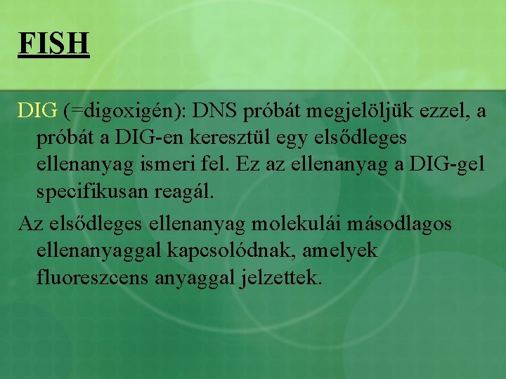 FISH DIG (=digoxigén): DNS próbát megjelöljük ezzel, a próbát a DIG-en keresztül egy elsődleges