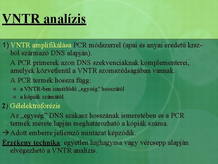 VNTR analízis 1) VNTR amplifikálása PCR módszerrel (apai és anyai eredetű krszból származó DNS