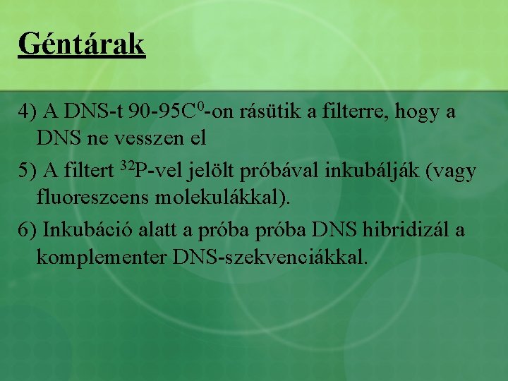 Géntárak 4) A DNS-t 90 -95 C 0 -on rásütik a filterre, hogy a