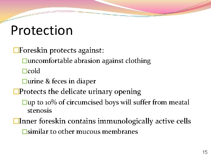 Protection �Foreskin protects against: �uncomfortable abrasion against clothing �cold �urine & feces in diaper