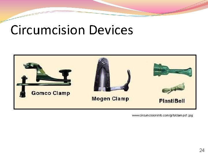 Circumcision Devices www. circumcisioninfo. com/gifs/clamps 1. jpg 24 