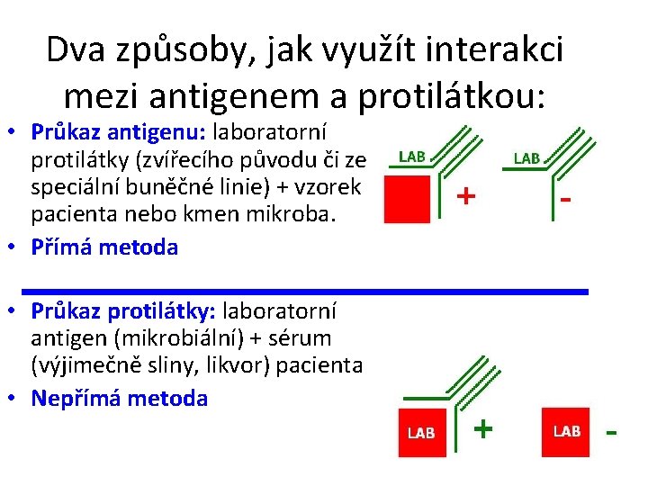 Dva způsoby, jak využít interakci mezi antigenem a protilátkou: • Průkaz antigenu: laboratorní protilátky