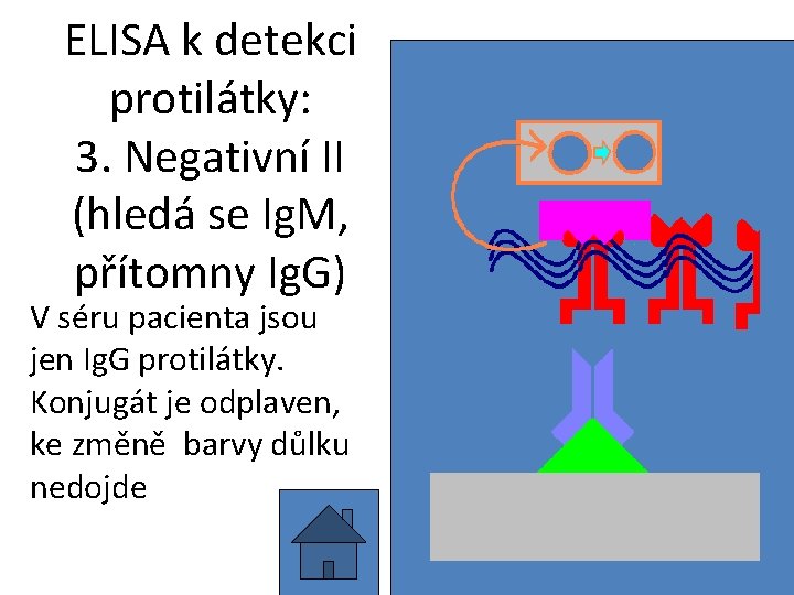 ELISA k detekci protilátky: 3. Negativní II (hledá se Ig. M, přítomny Ig. G)