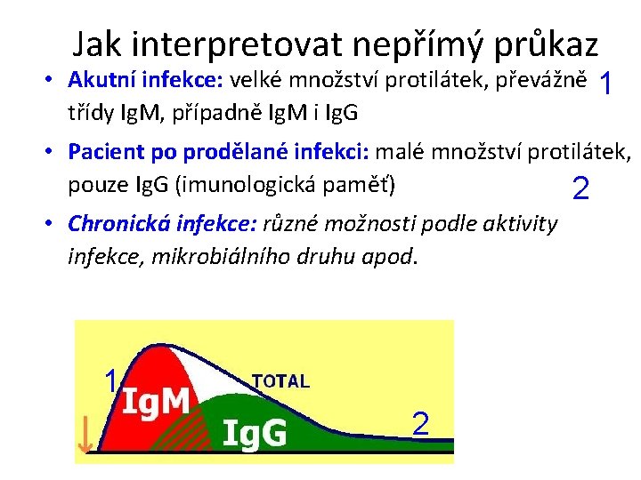 Jak interpretovat nepřímý průkaz • Akutní infekce: velké množství protilátek, převážně 1 třídy Ig.