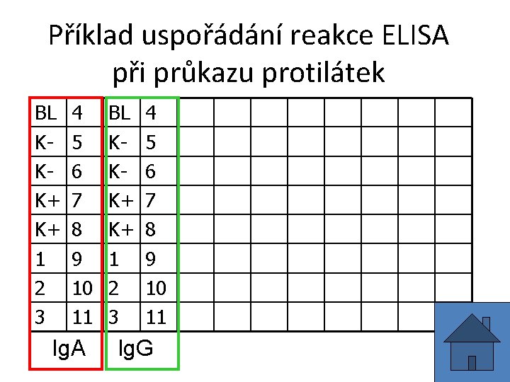 Příklad uspořádání reakce ELISA při průkazu protilátek BL KKK+ K+ 1 2 3 4