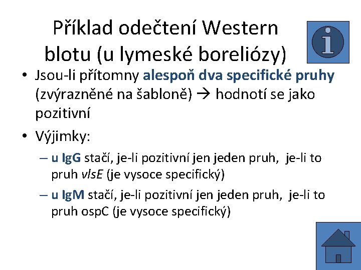 Příklad odečtení Western blotu (u lymeské boreliózy) • Jsou-li přítomny alespoň dva specifické pruhy