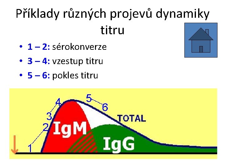 Příklady různých projevů dynamiky titru • 1 – 2: sérokonverze • 3 – 4: