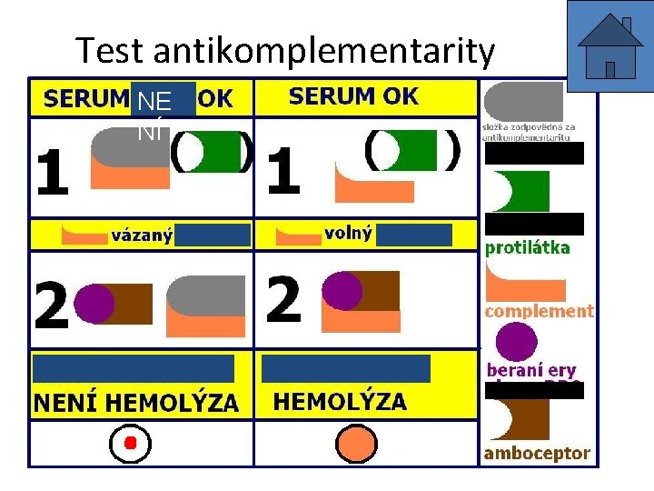 Test antikomplementarity NE NÍ 