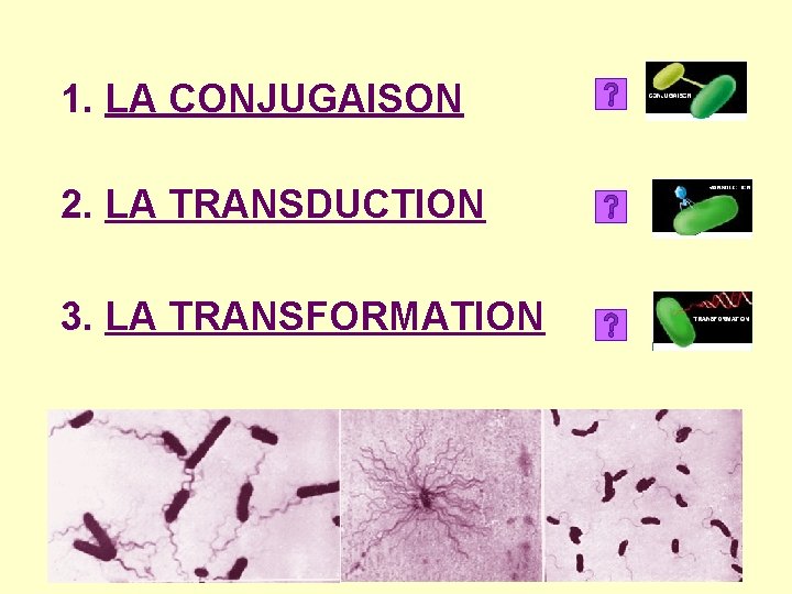 1. LA CONJUGAISON 2. LA TRANSDUCTION 3. LA TRANSFORMATION 