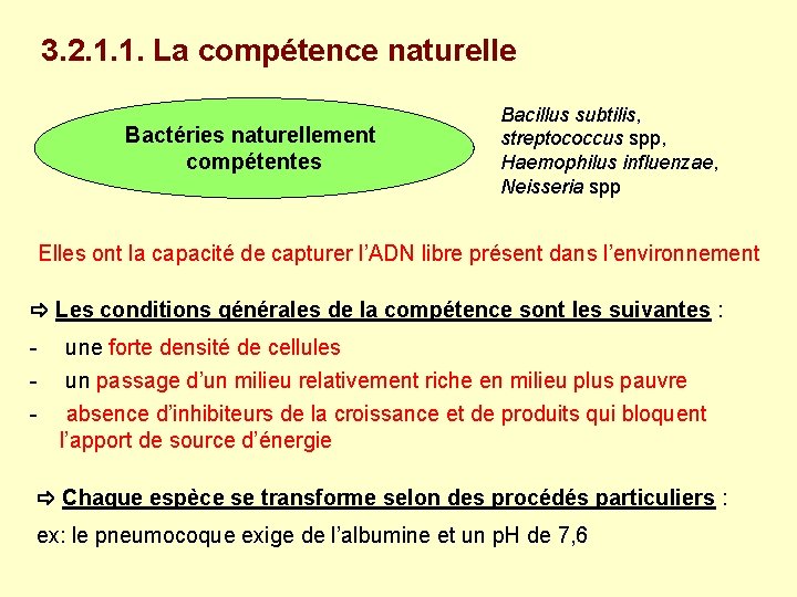 3. 2. 1. 1. La compétence naturelle Bactéries naturellement compétentes Bacillus subtilis, streptococcus spp,