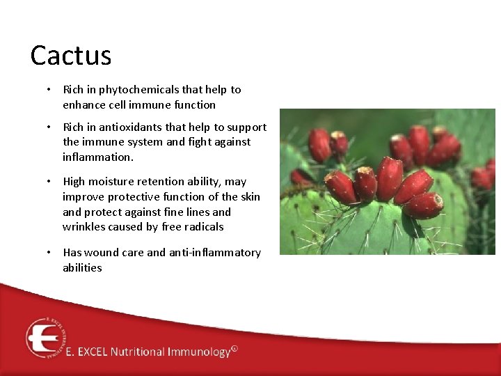 Cactus • Rich in phytochemicals that help to enhance cell immune function • Rich