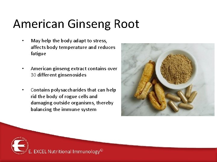 American Ginseng Root • May help the body adapt to stress, affects body temperature