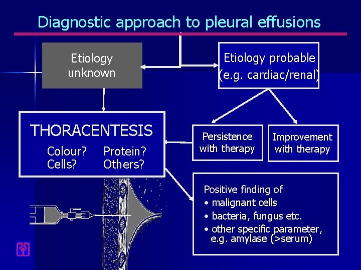 Diagnostic approach to pleural effusions Etiology unknown THORACENTESIS Colour? Cells? Protein? Others? Etiology probable
