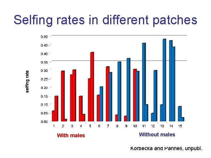 Selfing rates in different patches With males Without males Korbecka and Pannell, unpubl. 