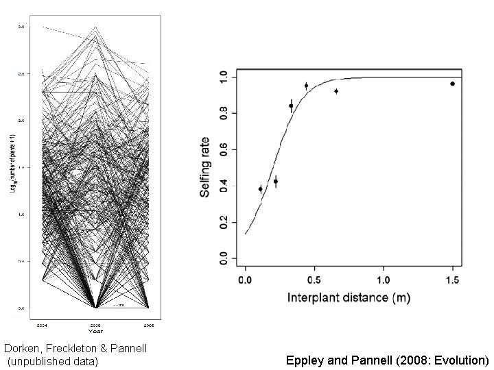 Dorken, Freckleton & Pannell (unpublished data) Eppley and Pannell (2008: Evolution) 