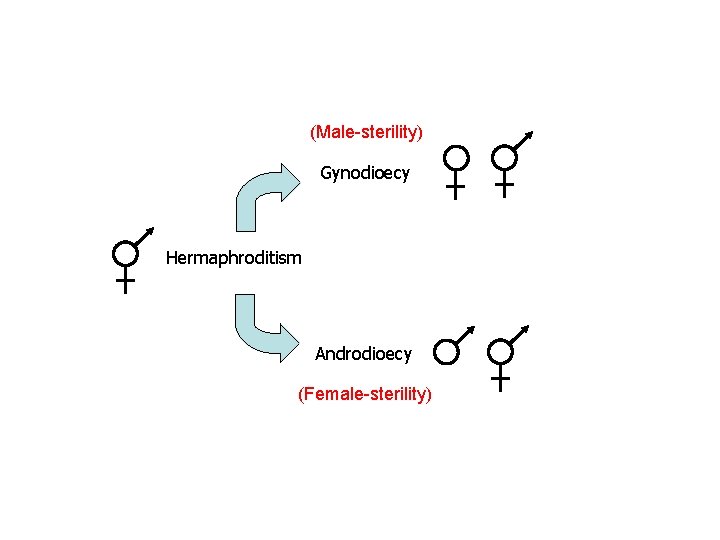 (Male-sterility) Gynodioecy Hermaphroditism Androdioecy (Female-sterility) 