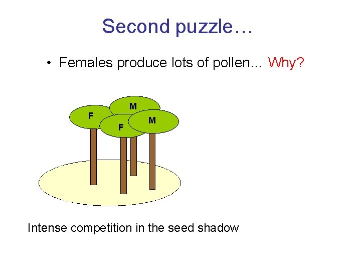 Second puzzle… • Females produce lots of pollen… Why? M F F M Intense