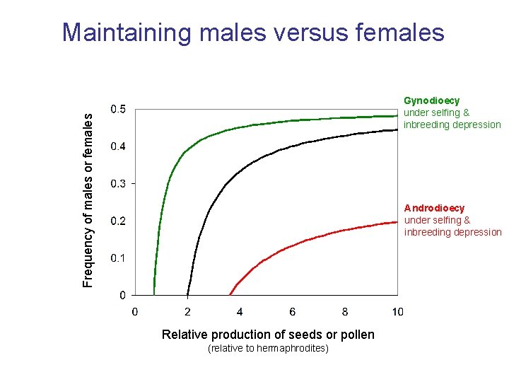 Maintaining males versus females Frequency of males or females Gynodioecy under selfing & inbreeding