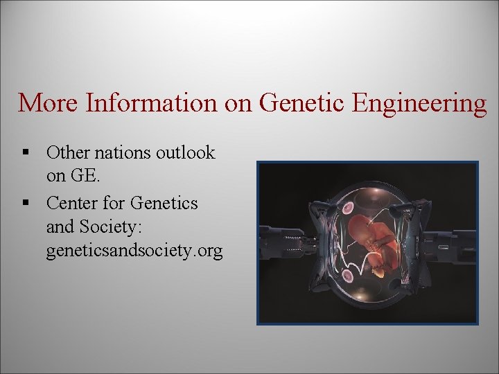 More Information on Genetic Engineering § Other nations outlook on GE. § Center for