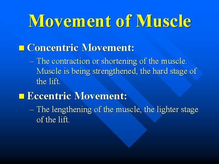 Movement of Muscle n Concentric Movement: – The contraction or shortening of the muscle.