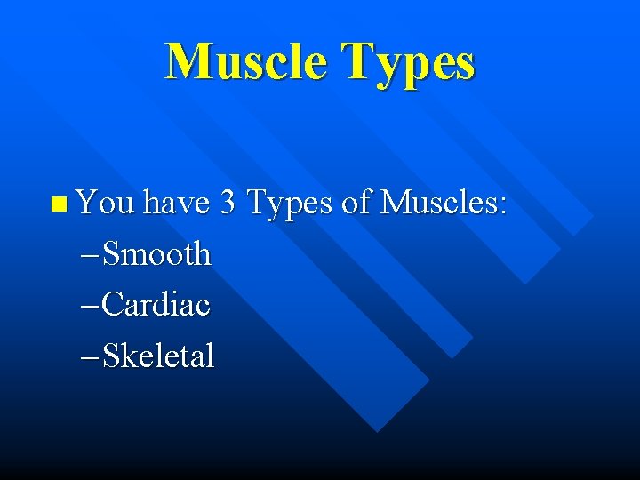 Muscle Types n You have 3 Types of Muscles: – Smooth – Cardiac –