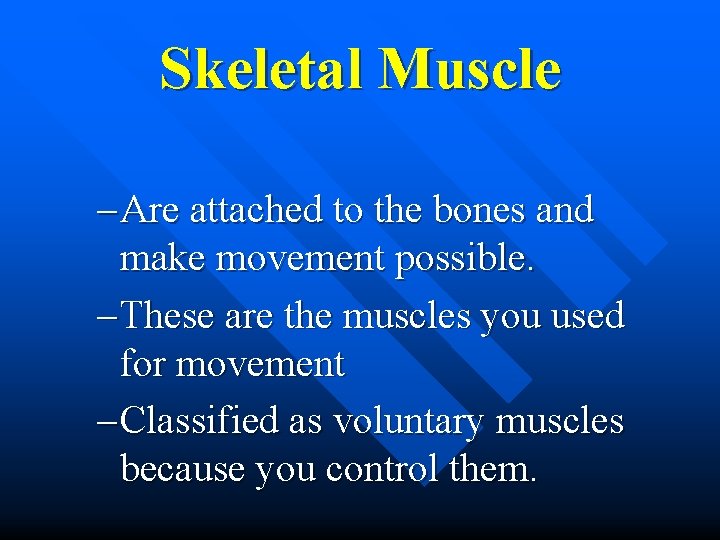 Skeletal Muscle – Are attached to the bones and make movement possible. – These Skeletal Muscle – Are attached to the bones and make movement possible. – These