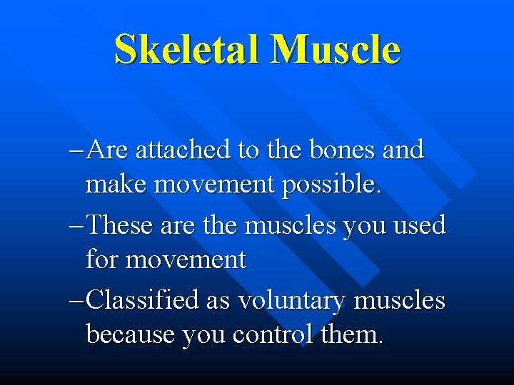 Skeletal Muscle – Are attached to the bones and make movement possible. – These