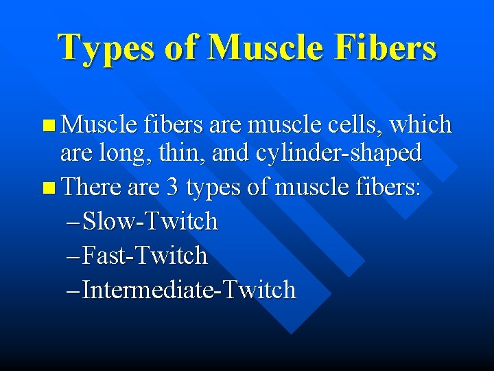 Types of Muscle Fibers n Muscle fibers are muscle cells, which are long, thin,