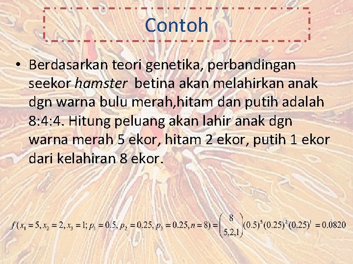 Contoh • Berdasarkan teori genetika, perbandingan seekor hamster betina akan melahirkan anak dgn warna