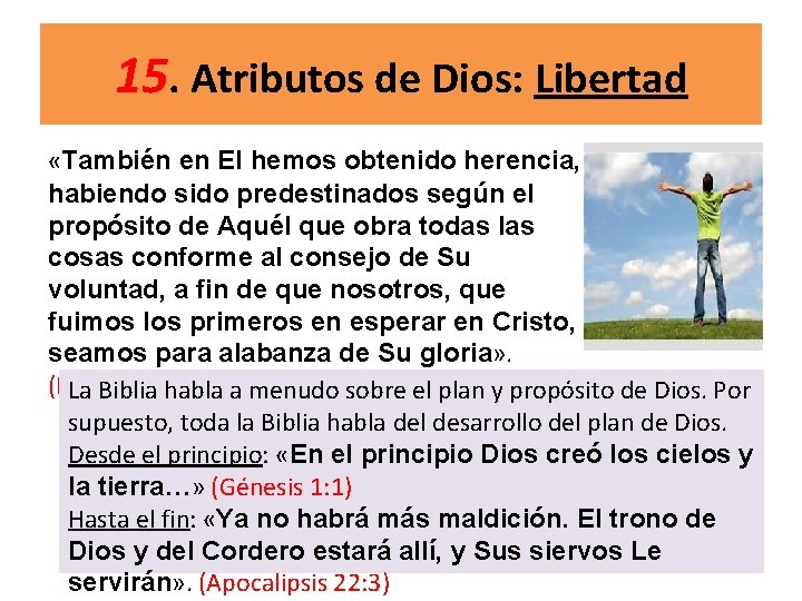 15. Atributos de Dios: Libertad «También en El hemos obtenido herencia, habiendo sido predestinados