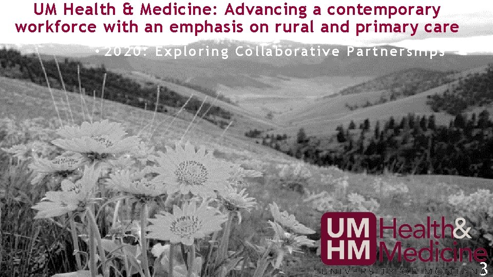UM Health & Medicine: Advancing a contemporary workforce with an emphasis on rural and