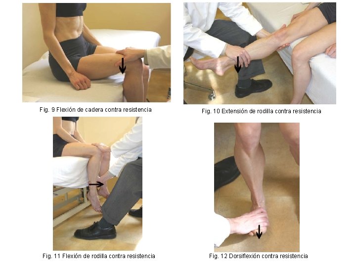 Fig. 9 Flexión de cadera contra resistencia Fig. 11 Flexión de rodilla contra resistencia
