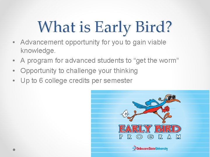 What is Early Bird? • Advancement opportunity for you to gain viable knowledge. •